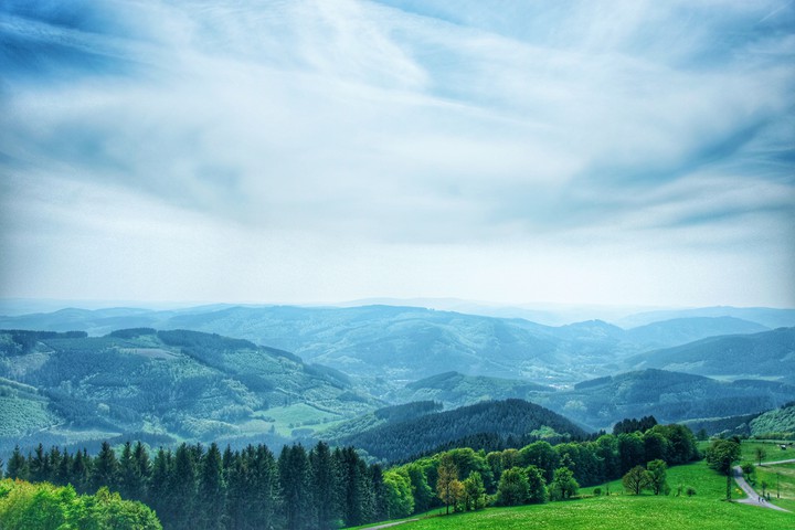 nature