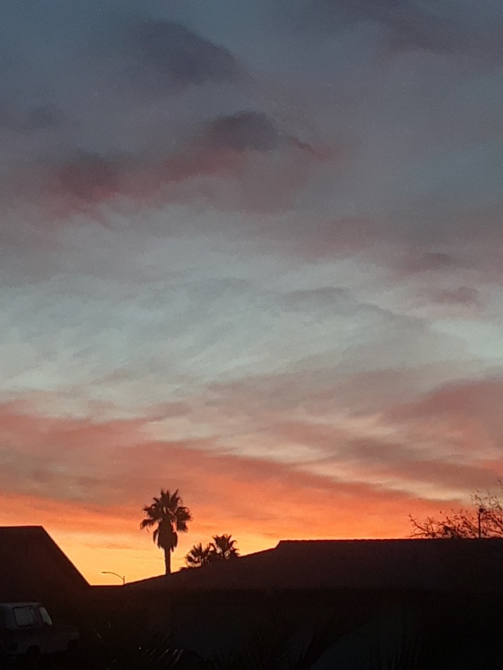 sunset