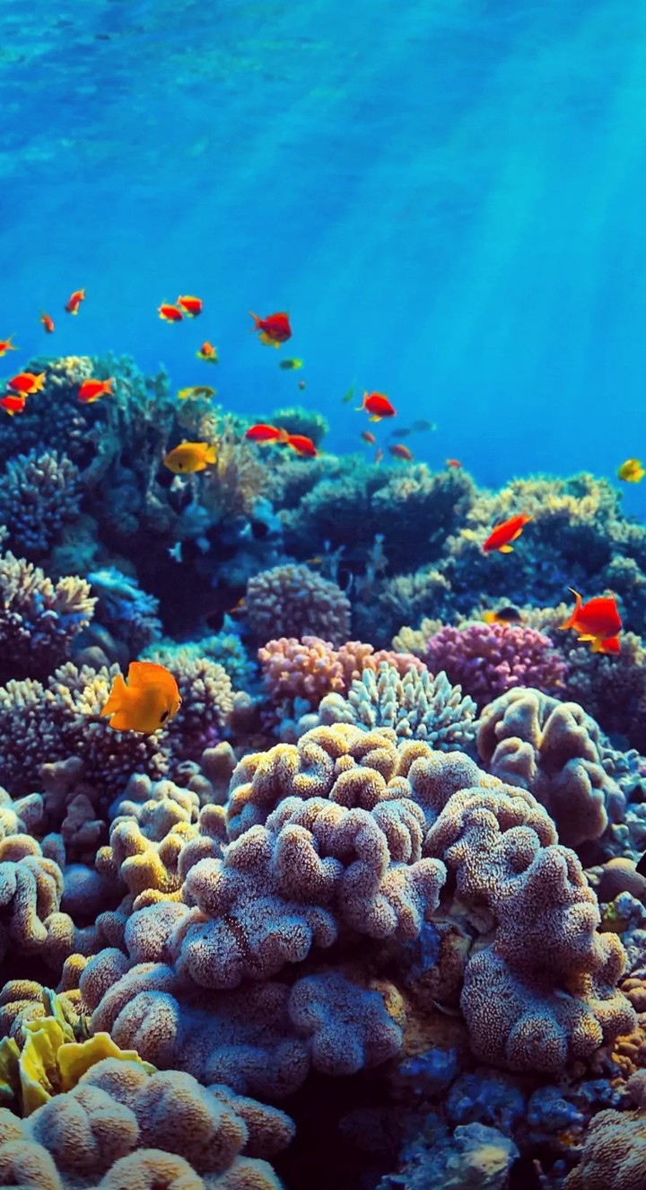 aqua world