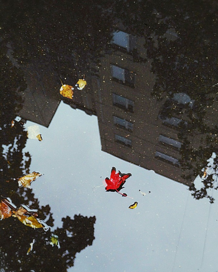 autumn
