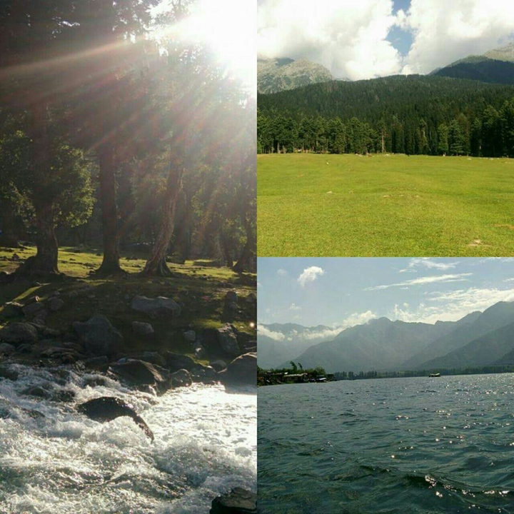 scintillating Kashmir