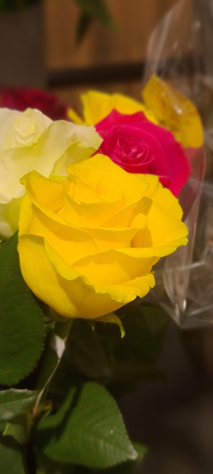 Blumen
