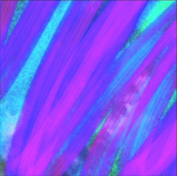 Wonders