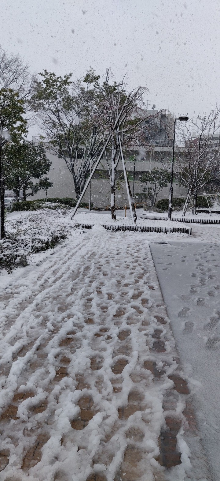 snowfall