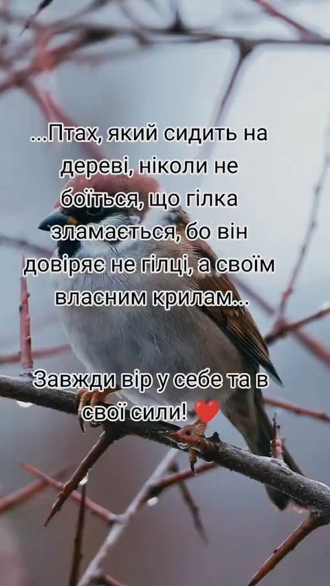 Осінь