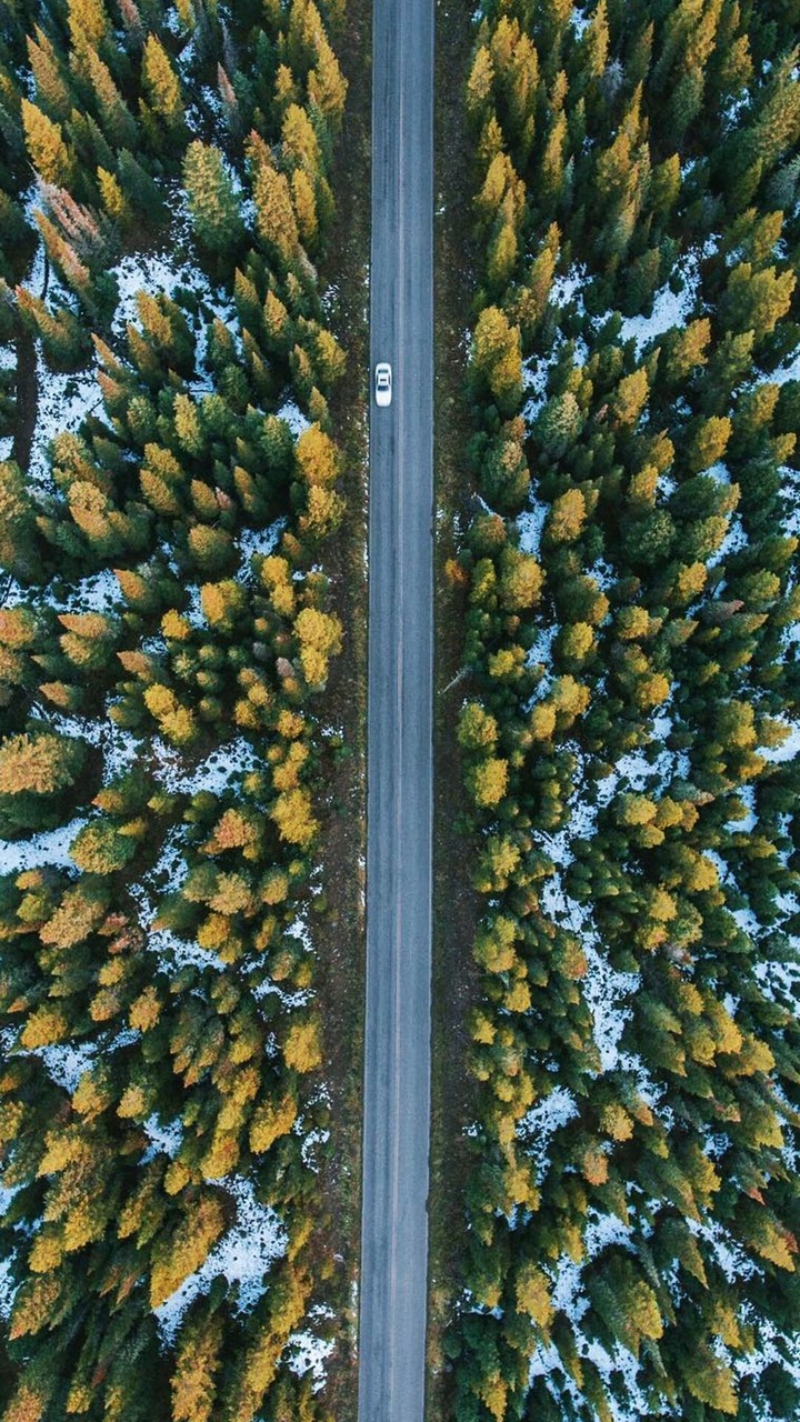 lonely road