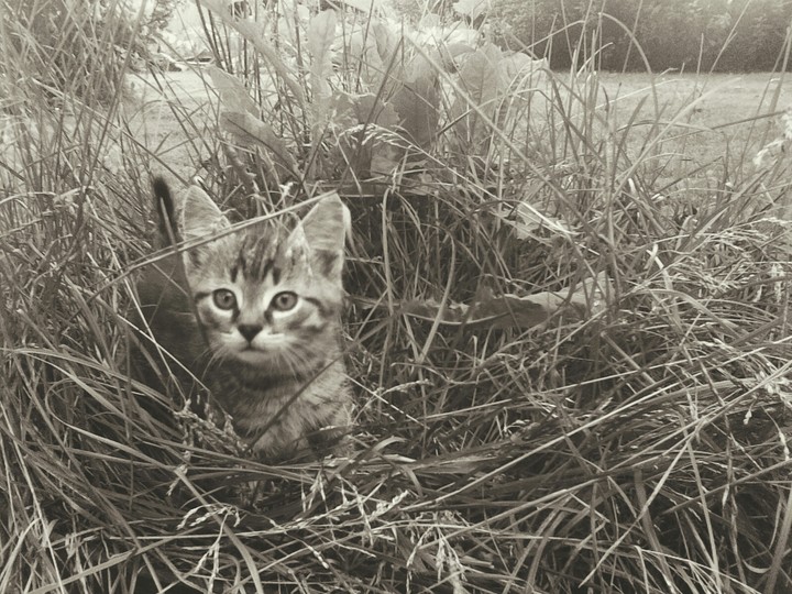 exploring the world