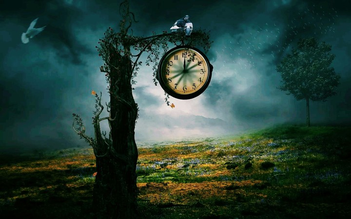 Time in Woods
