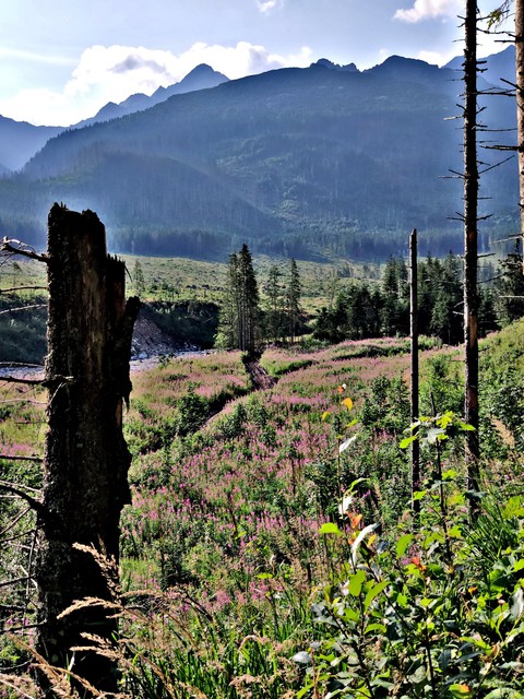 Tatry słowackie