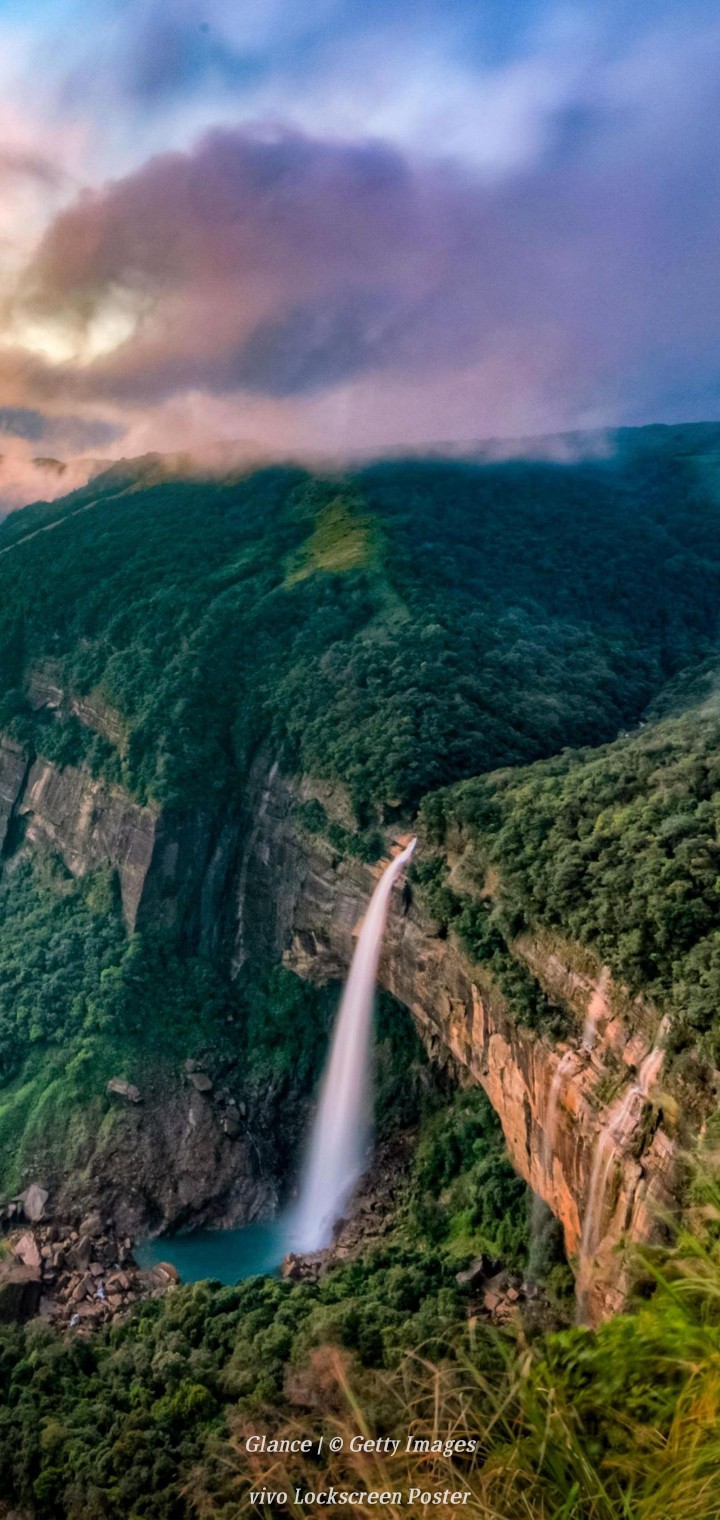 natural forest