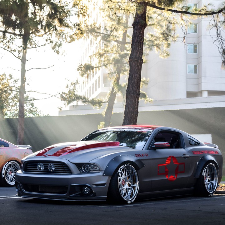 Ford Shelbi