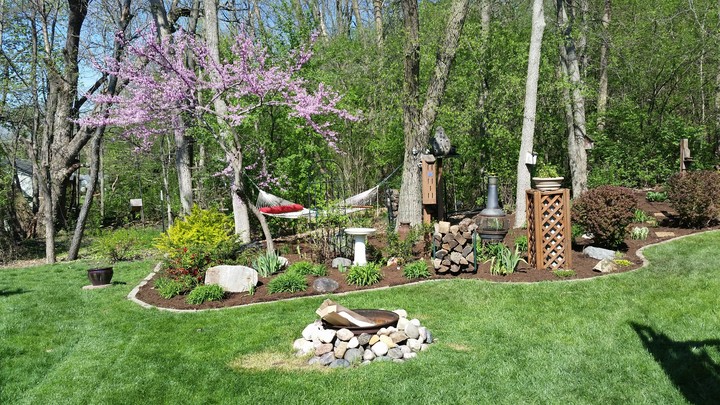 Back yard