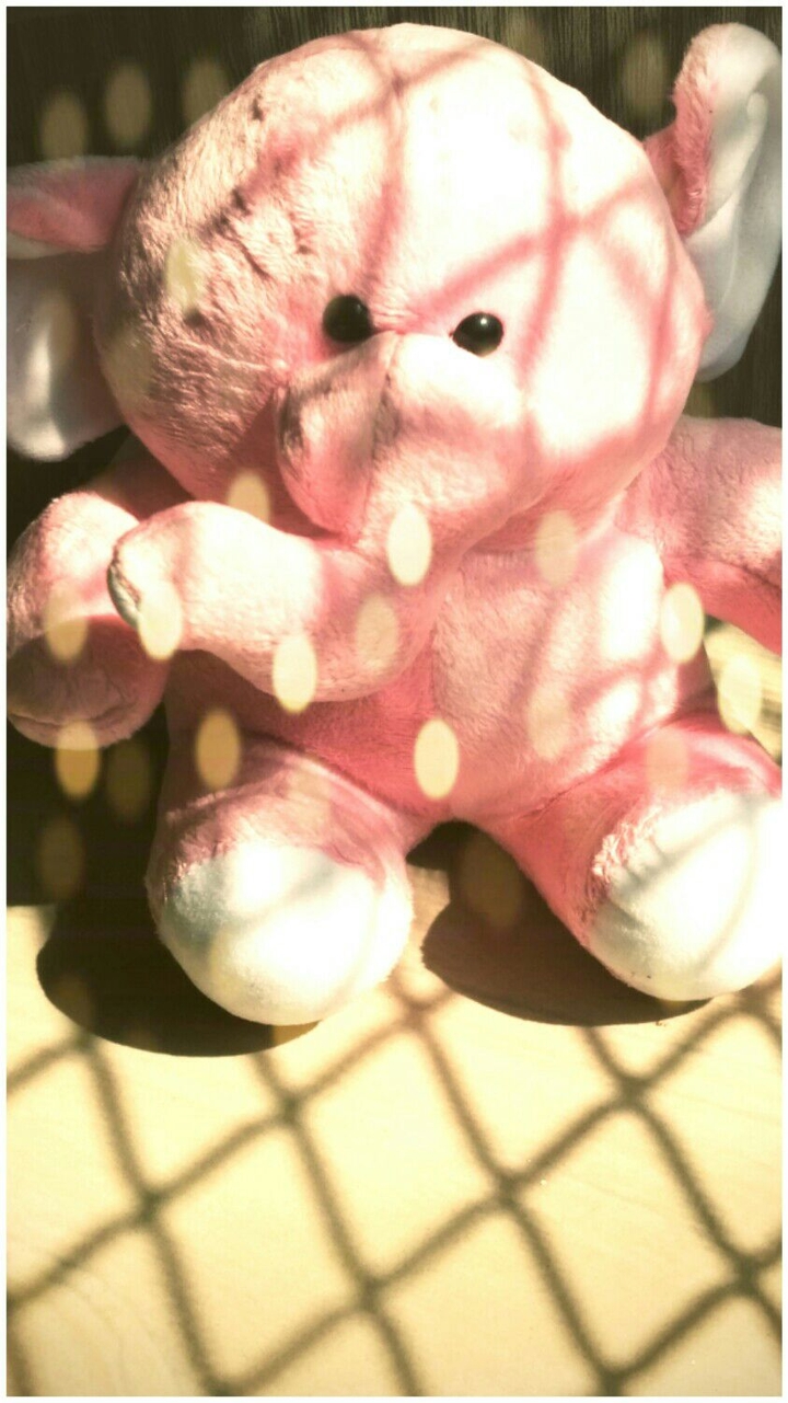 pink elephant 