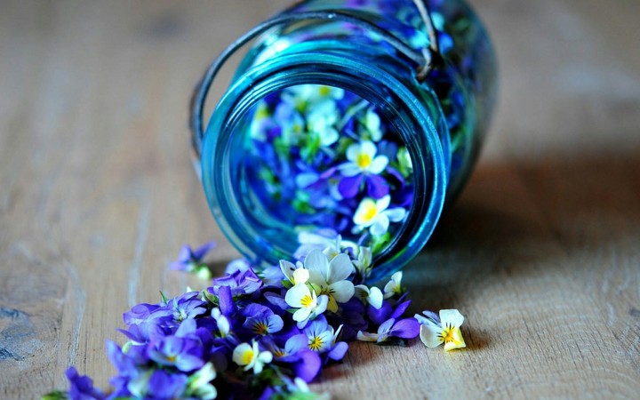 flower pot