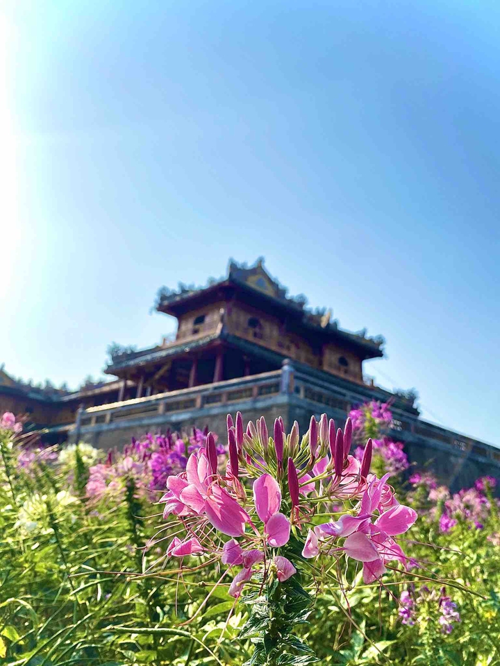 Hue Citadel