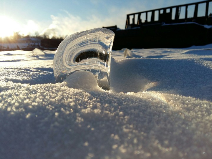 In the snow...