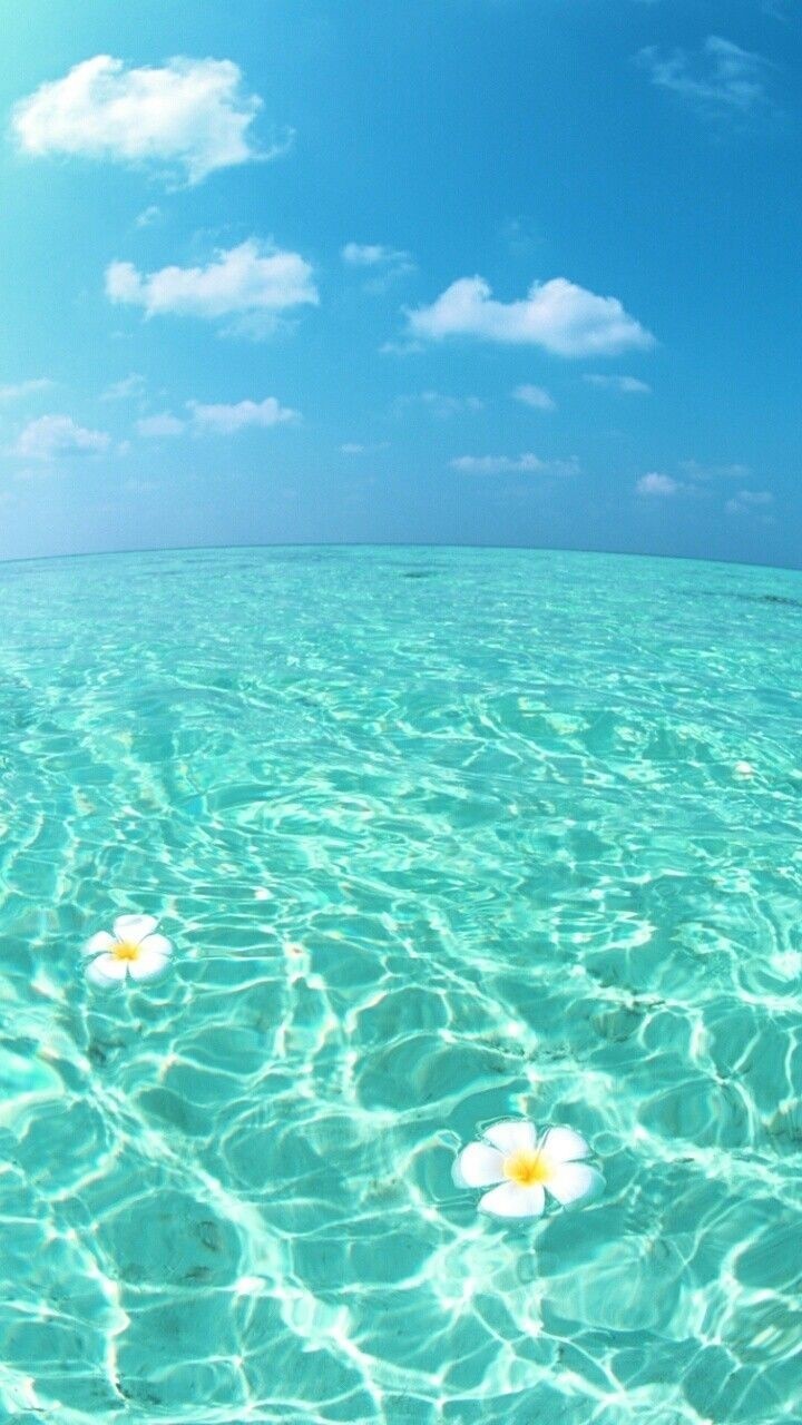water