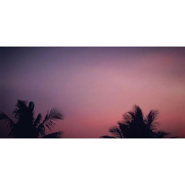 Evening sky with coconut tree silhouette