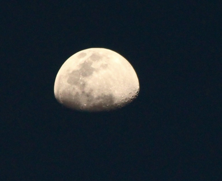 my moon