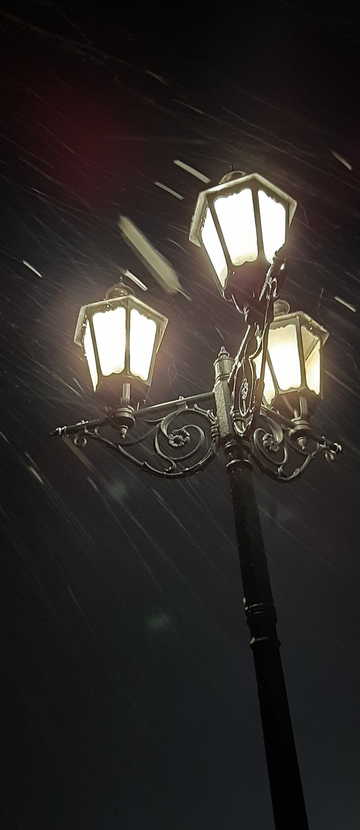 Night