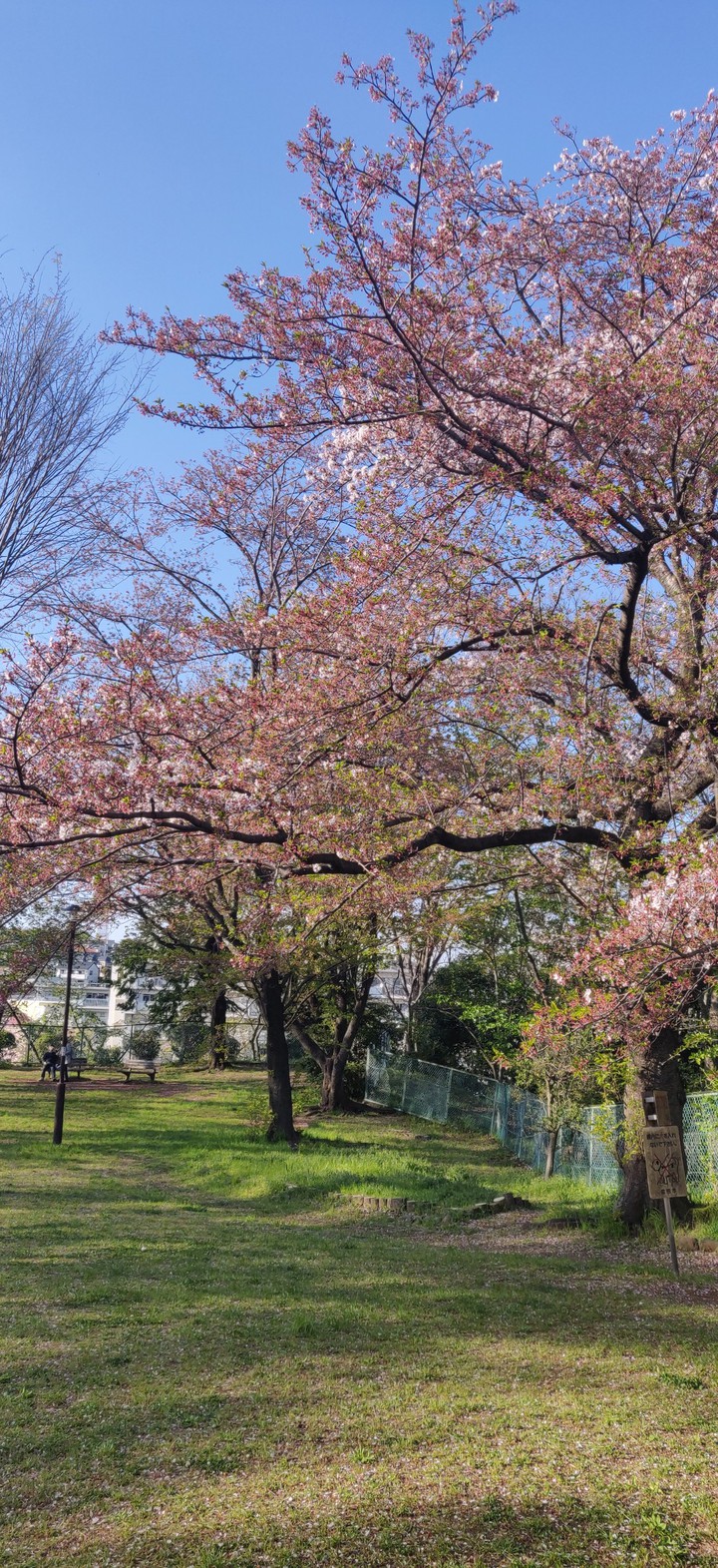 park