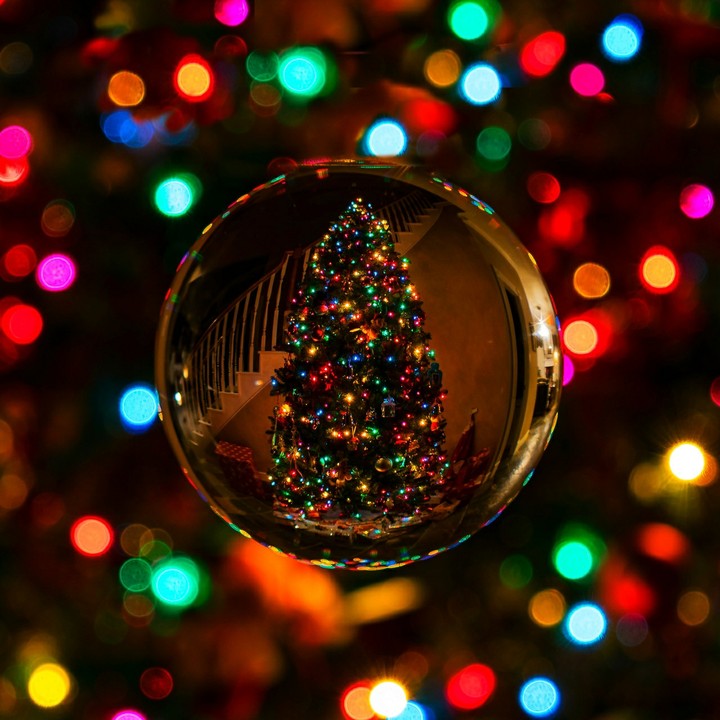 Christmas lights