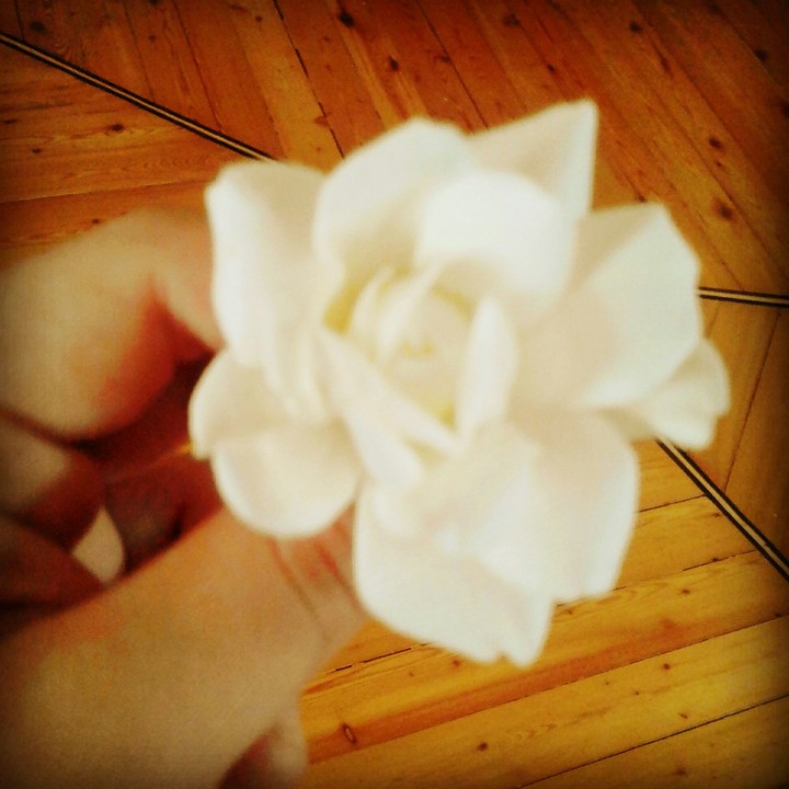 flower