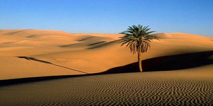 Algérie desert