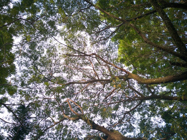 From down below
