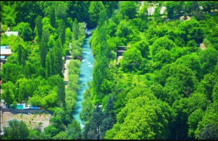The village