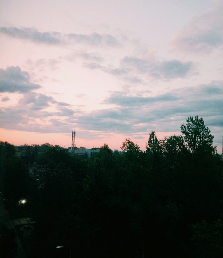 "Вид из окна"