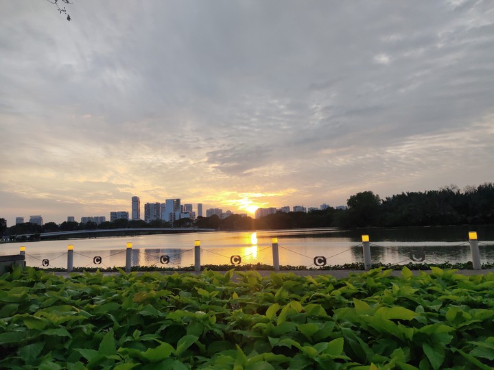 sun