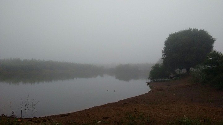 Morning Mist