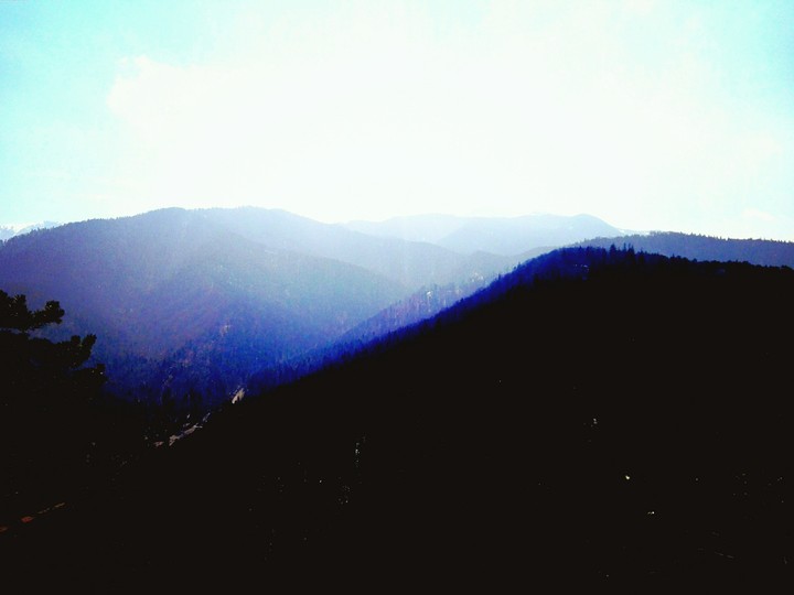 Carpați