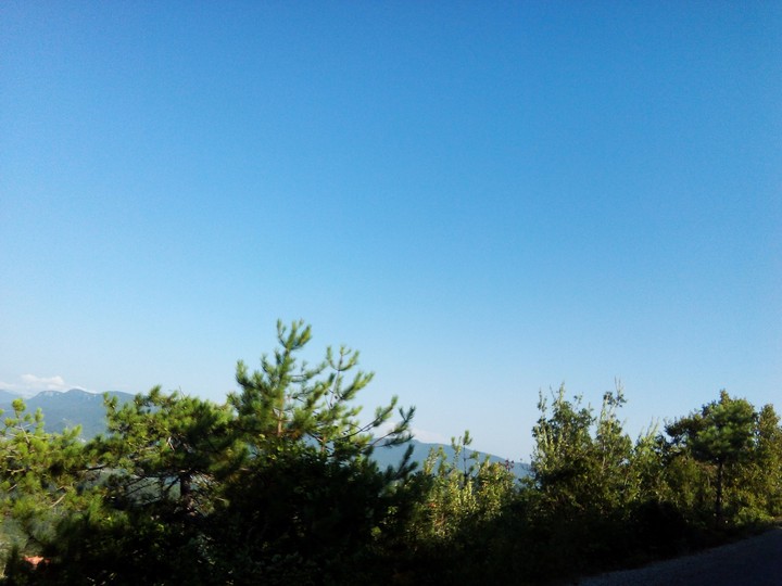 skies