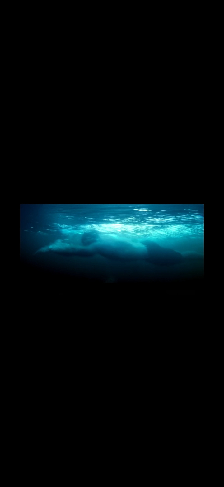 military swim