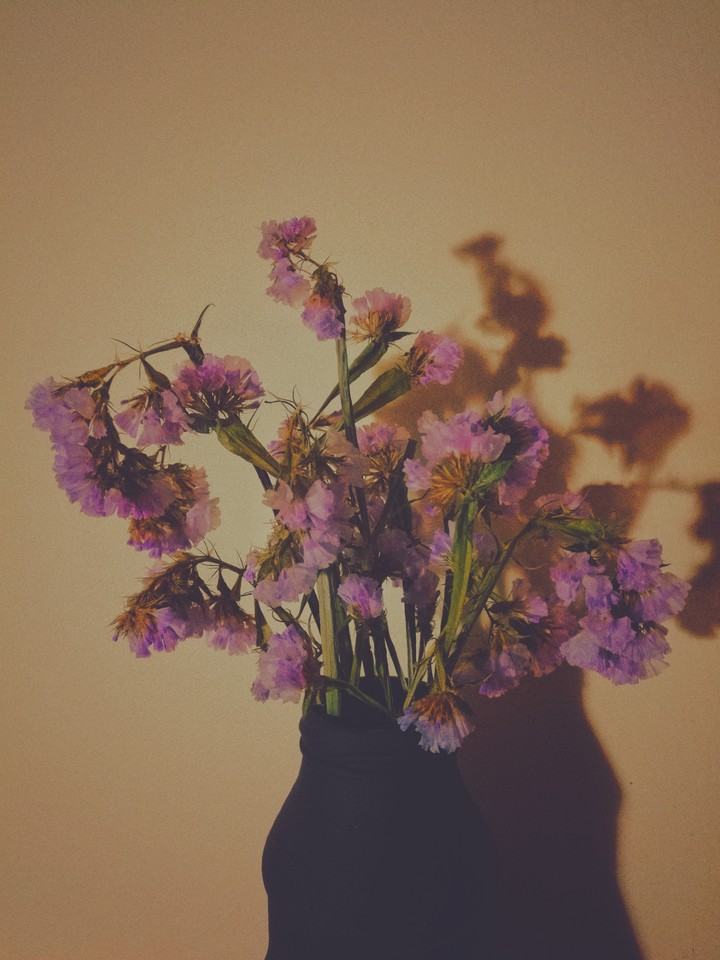 Flowers at sunset