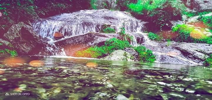 #nature beauty