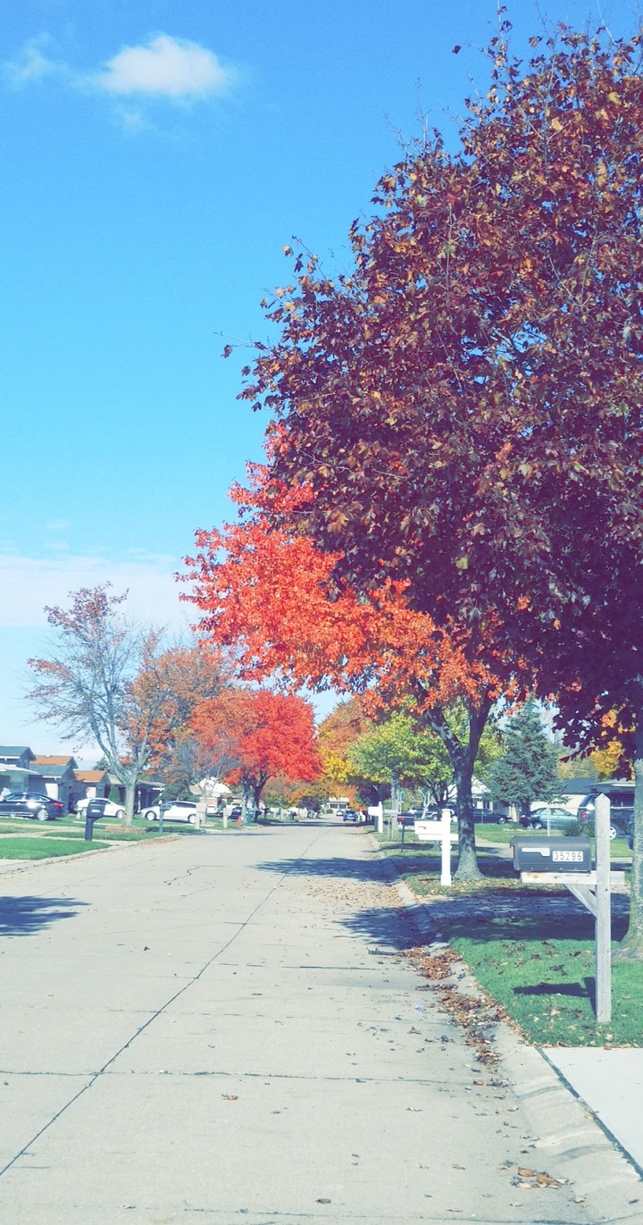 Fall