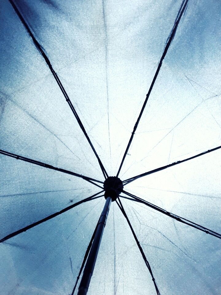 umbrella