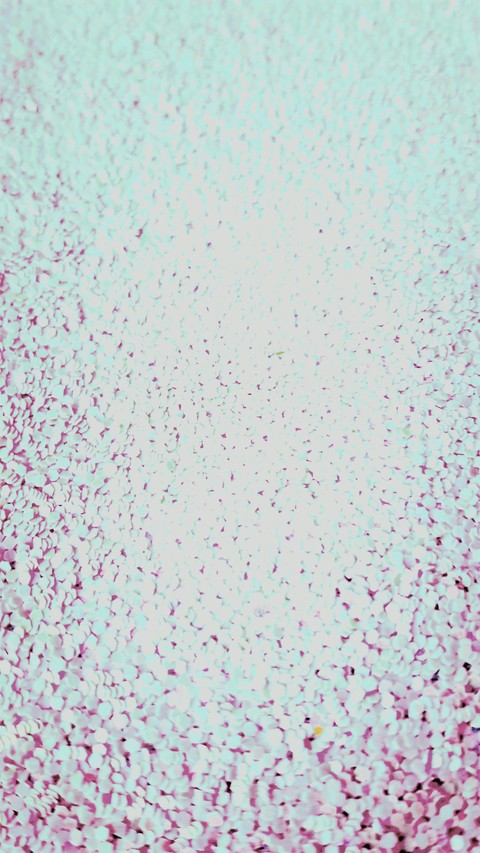 glitter
