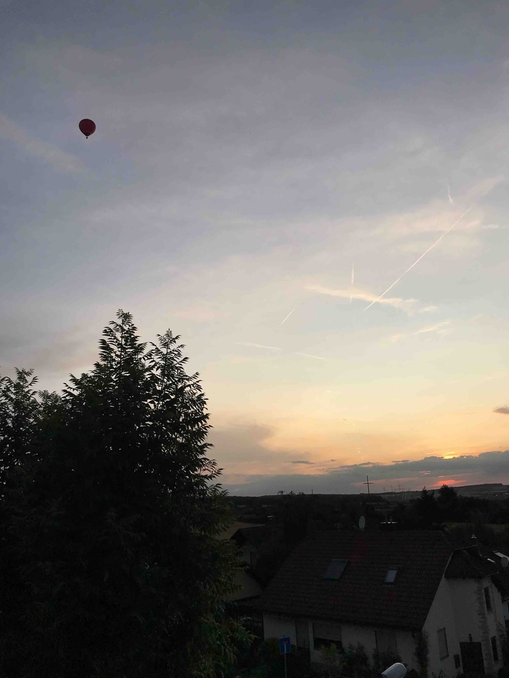 Durch mein Fenster ❣️