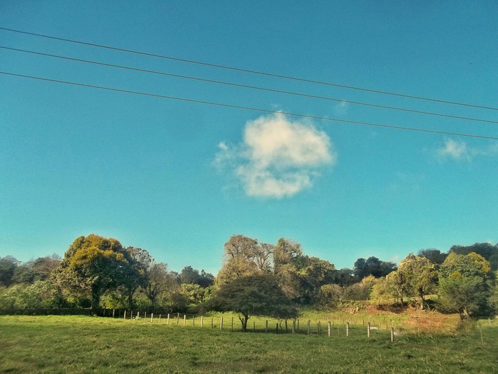 El potrero.