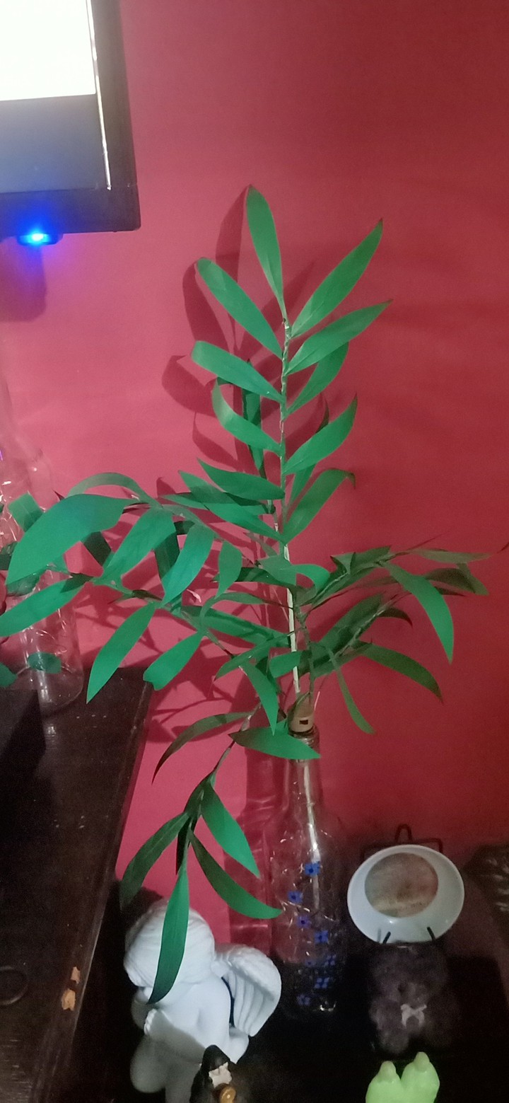 artificial plant