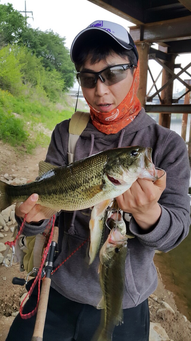 bass fishing