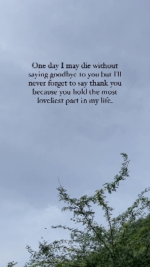THANK YOU EVERYONE WHO'S READING THIS ❤️.