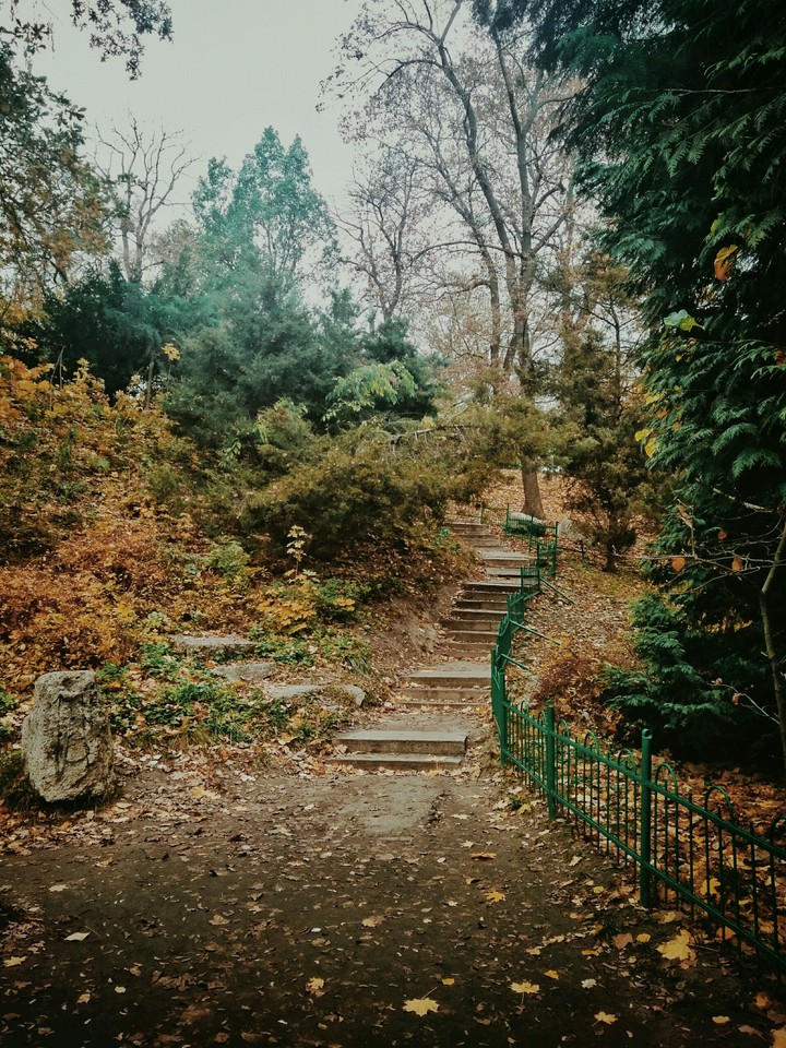 Autumn park