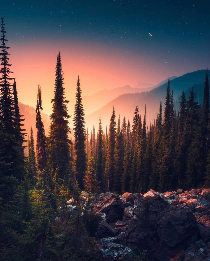 landscape