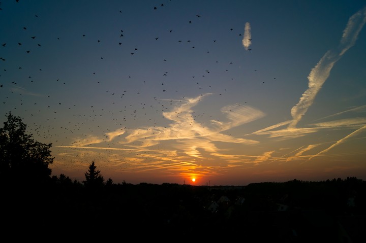 autumn sunset