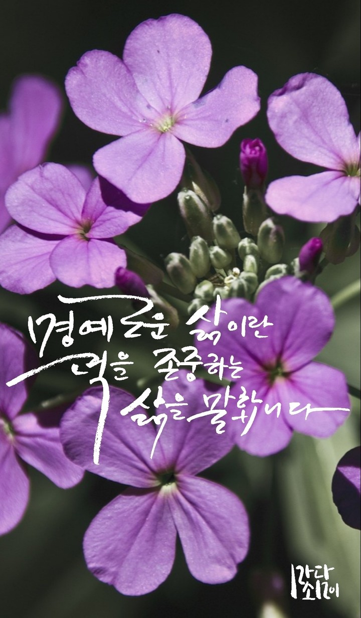 명예